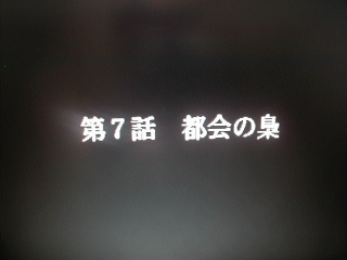 掵bop